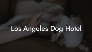Dog-Friendly Hotels In Los Angeles For A Pawsome Stay - The Ultimate Guide